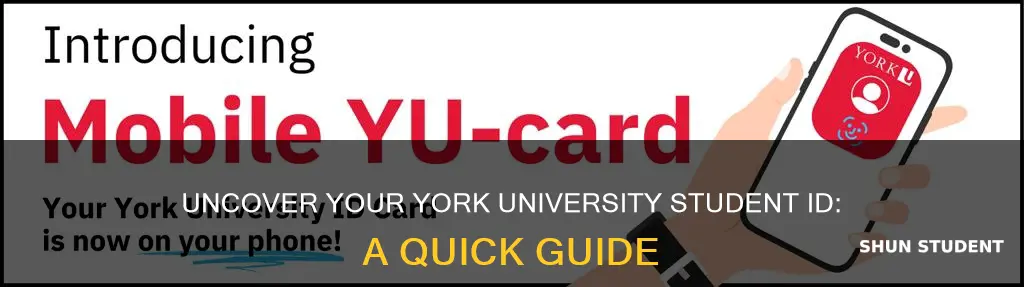 what is my york university student number