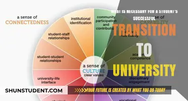 Transitioning to University: Keys to Success
