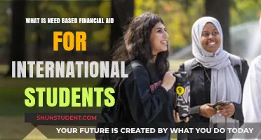 Financial Aid Options for International Students Studying Abroad