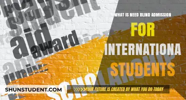 Blind Admission: International Students' Equal Opportunity