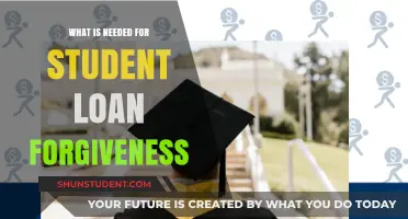 Unlocking Student Loan Forgiveness: Essential Requirements and Steps to Qualify