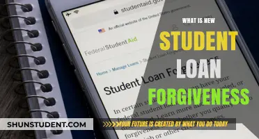 Understanding the Latest Student Loan Forgiveness Program: What's New?