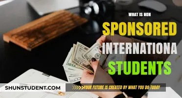 International Students: Understanding Non-Sponsored Status