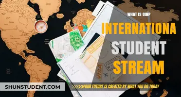 International Student Stream: OINP's New Pathway