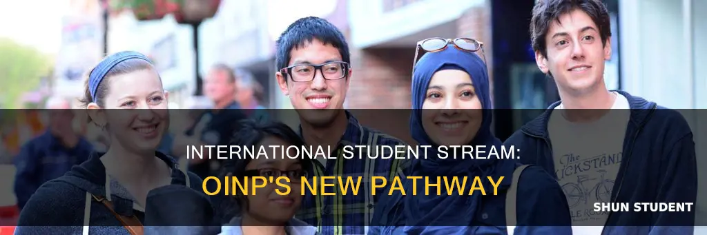 what is oinp international student stream