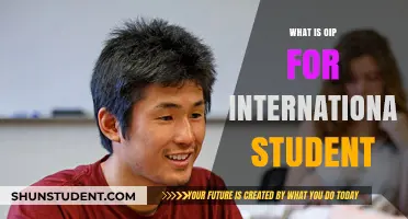 OIP: A Golden Opportunity for International Students