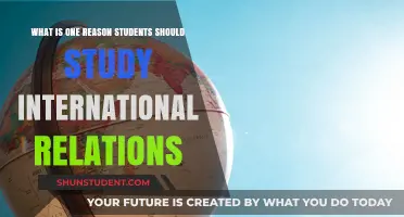 Understanding Global Issues Through International Relations Studies