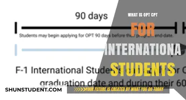 Understanding OPT and CPT for International Students in the US