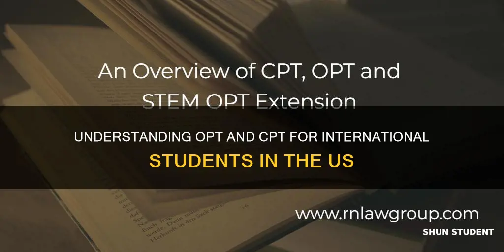 what is opt cpt for international students
