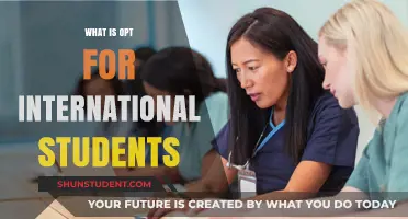International Students: OPT Work Opportunities in the US