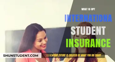 International Student Insurance: Understanding OPT Coverage