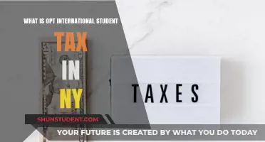 OPT International Students: Understanding Your NY Tax Obligations
