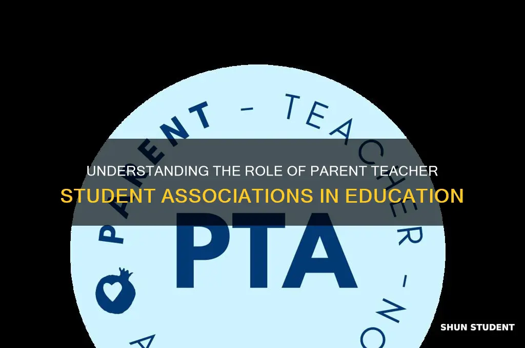 what is parent teacher student association