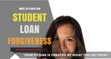 Exploring Alternatives: What’s Plan B for Student Loan Forgiveness?