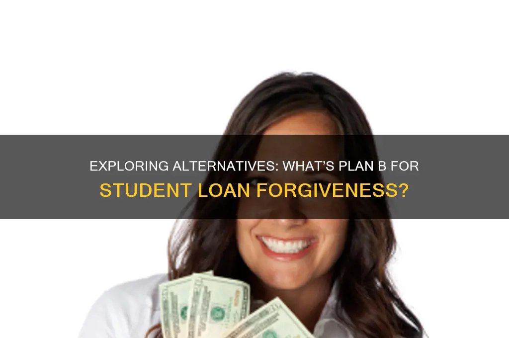 what is plan b for student loan forgiveness