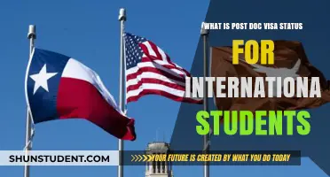 Understanding Post-Doc Visa Options for International Students