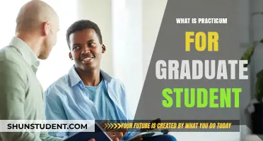 Exploring the Essentials: What is a Practicum for Graduate Students?
