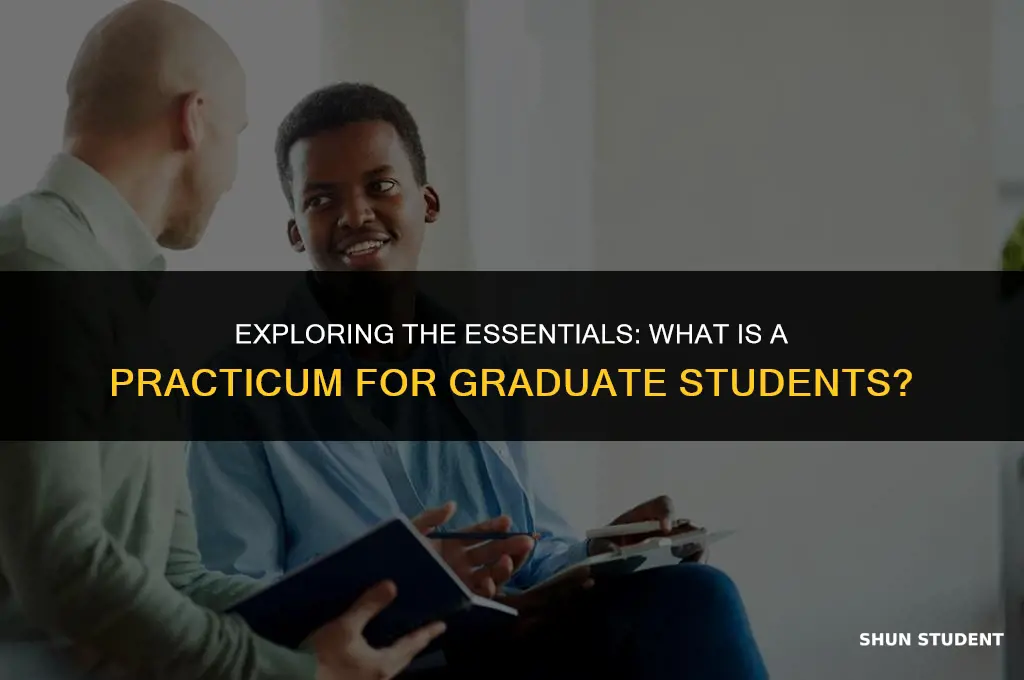 what is practicum for graduate student