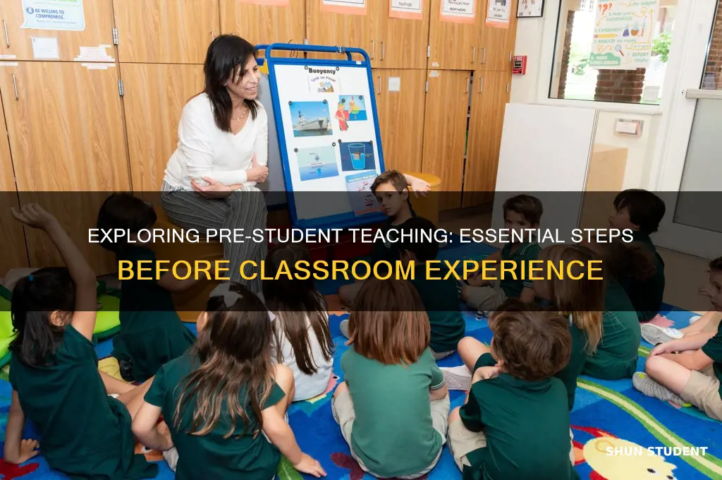 what is pre student teaching