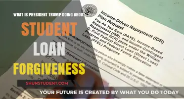 Trump's Student Loan Forgiveness Plan: What Borrowers Need to Know