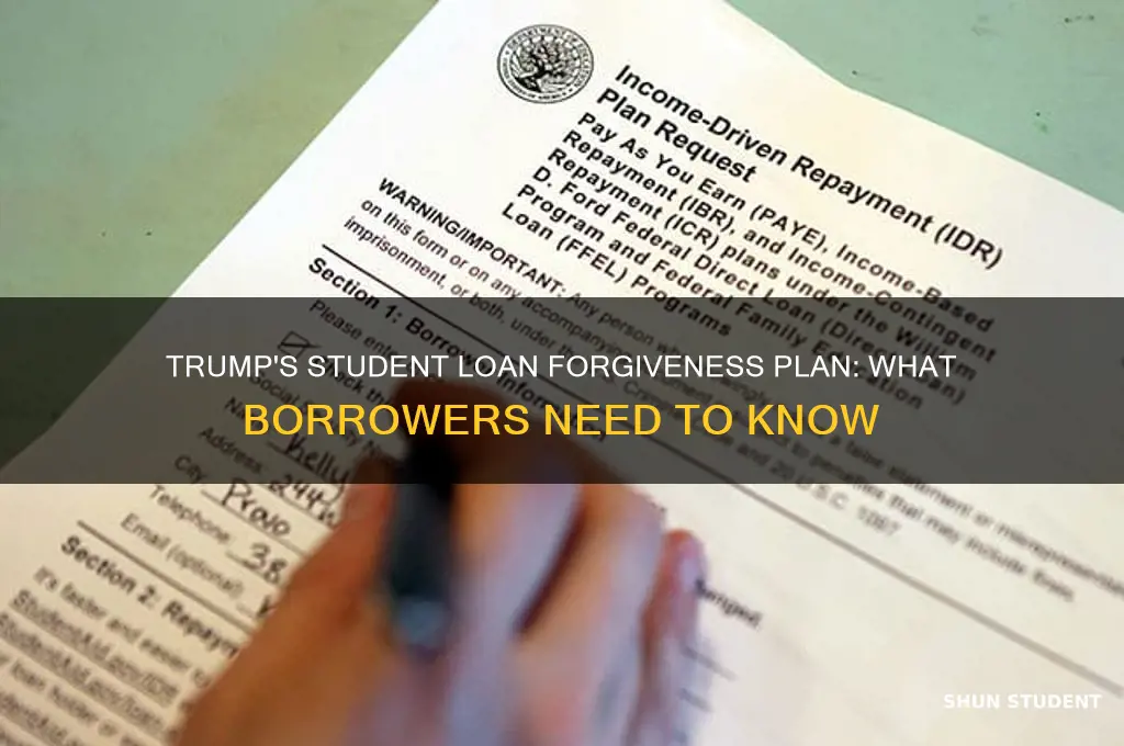 what is president trump doing about student loan forgiveness
