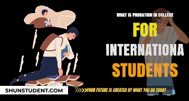 Probation in College: What International Students Need to Know