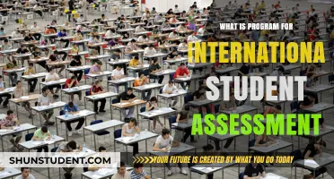 International Student Assessment: Understanding the PISA Test