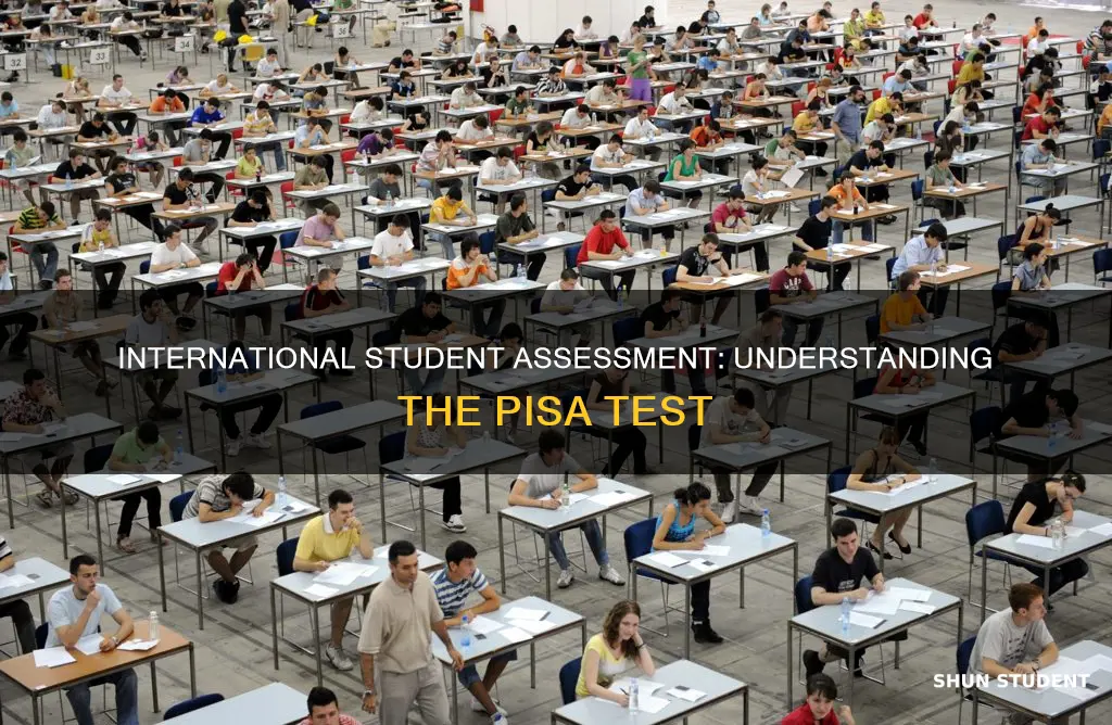 what is program for international student assessment