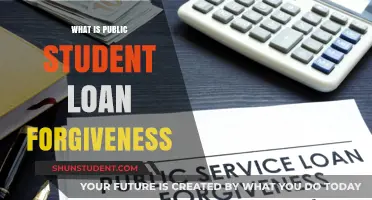 Understanding Public Student Loan Forgiveness: A Comprehensive Guide for Borrowers