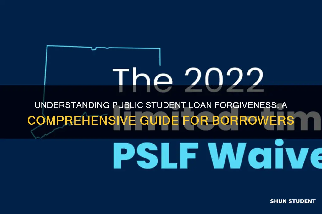 what is public student loan forgiveness