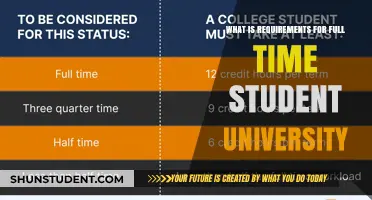 Requirements for Full-Time University Students