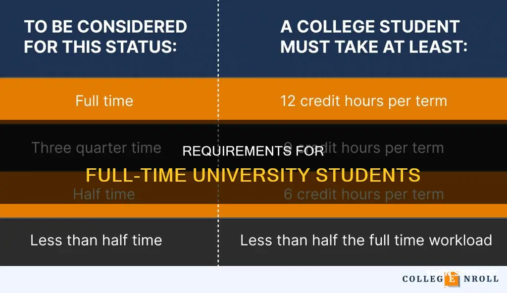 what is requirements for full time student university