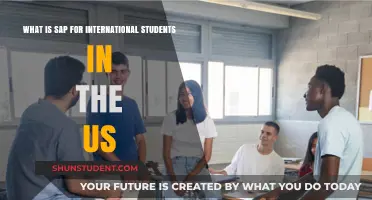 Understanding SAP: A Guide for International Students in the US