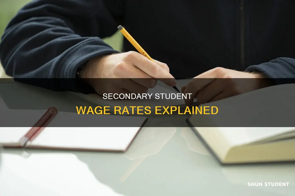 what is secondary student rate of pay