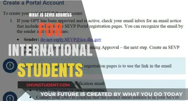 Addressing SEVIS: International Student Guide