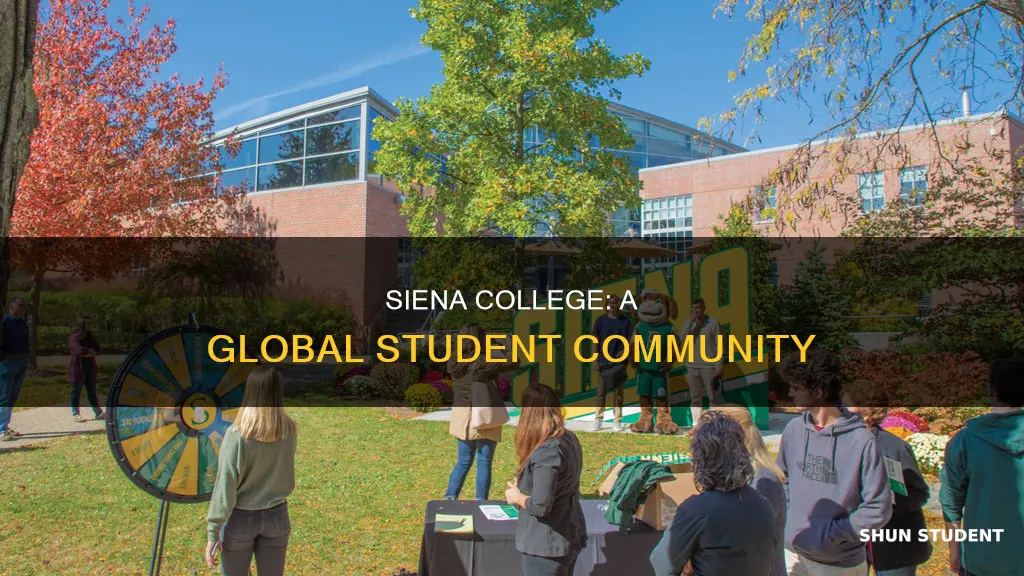 what is siena college international students