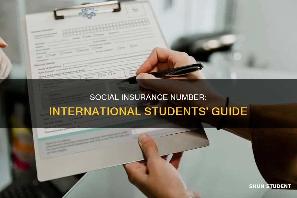 what is sin number for international students