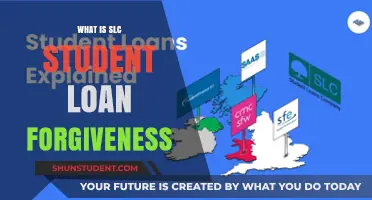 Understanding SLC Student Loan Forgiveness: Eligibility, Process, and Benefits