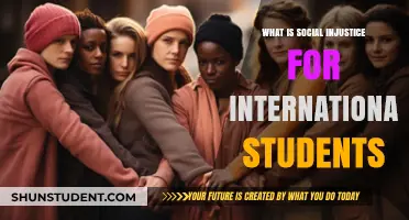 Social Injustices: International Students' Plight
