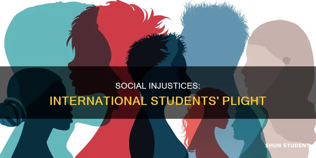 what is social injustice for international students