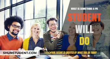 Exploring PR Student Responsibilities: Tasks, Skills, and Real-World Applications