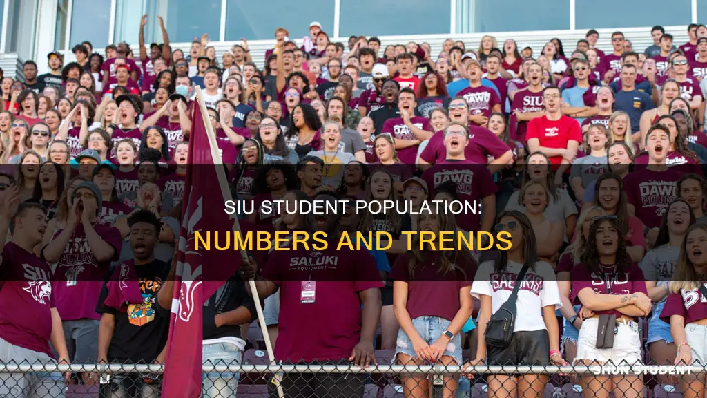 what is southern illinois university student population