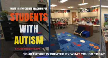 Structured Teaching: Empowering Students with Autism for Success