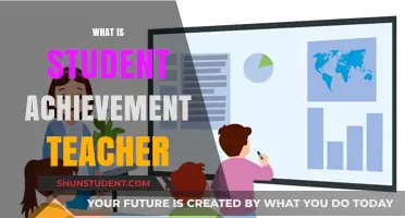 Understanding the Role of a Student Achievement Teacher in Education