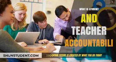 Fostering Responsibility: Understanding Student and Teacher Accountability in Education