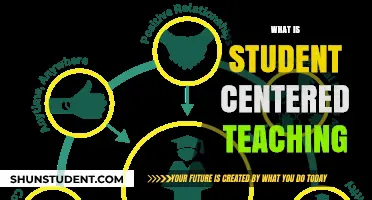 Empowering Learners: Understanding the Core of Student-Centered Teaching