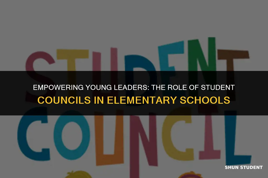 what is student council in elementary school