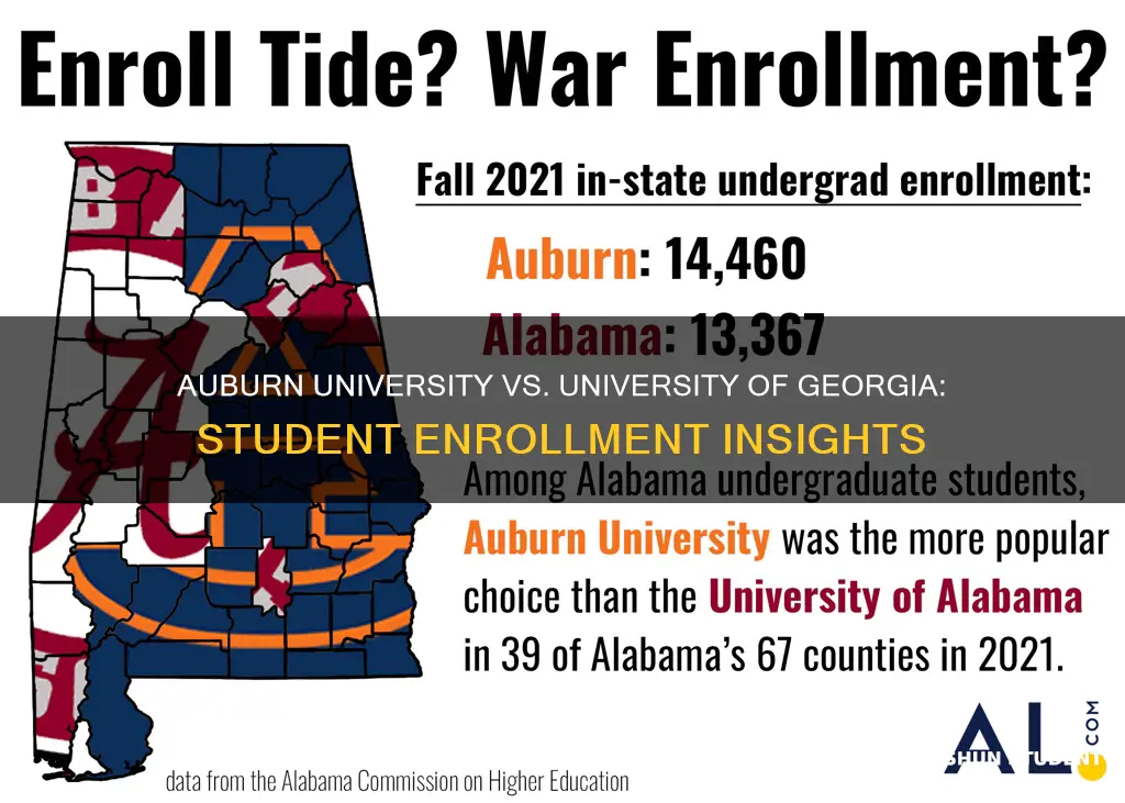 what is student enrollment at auburn university of georgia