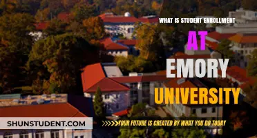 Enrollment Insights: Emory University Student Numbers