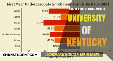 Enrollment Insights: University of Kentucky Student Numbers